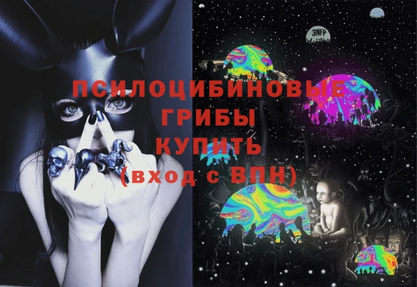 дживик Алексин